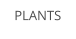 PLANTS